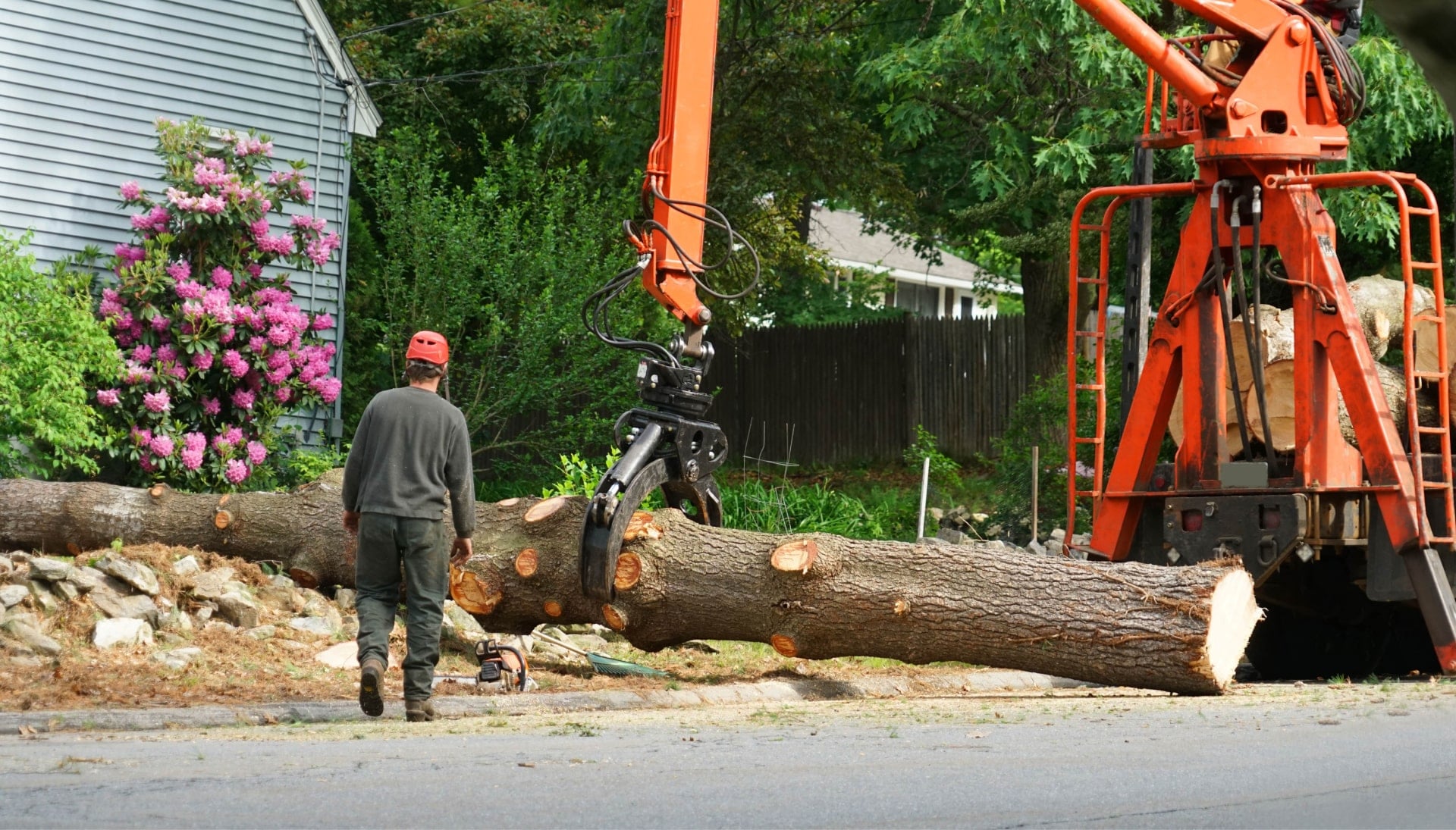 Local partner for Tree removal services in Omaha