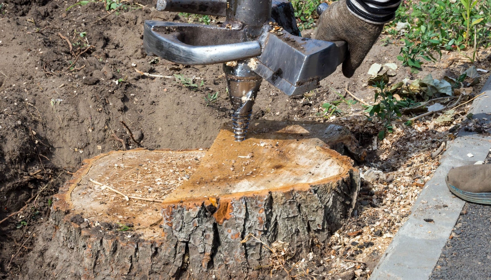 Omaha Tree stump removal